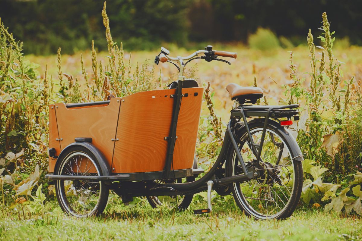 velo cargo